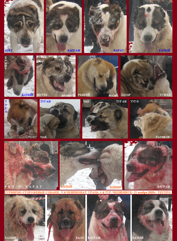 2009.11.21 5-й Турнир 1-й Круг ТСС Портреты ЛИСТ (8)