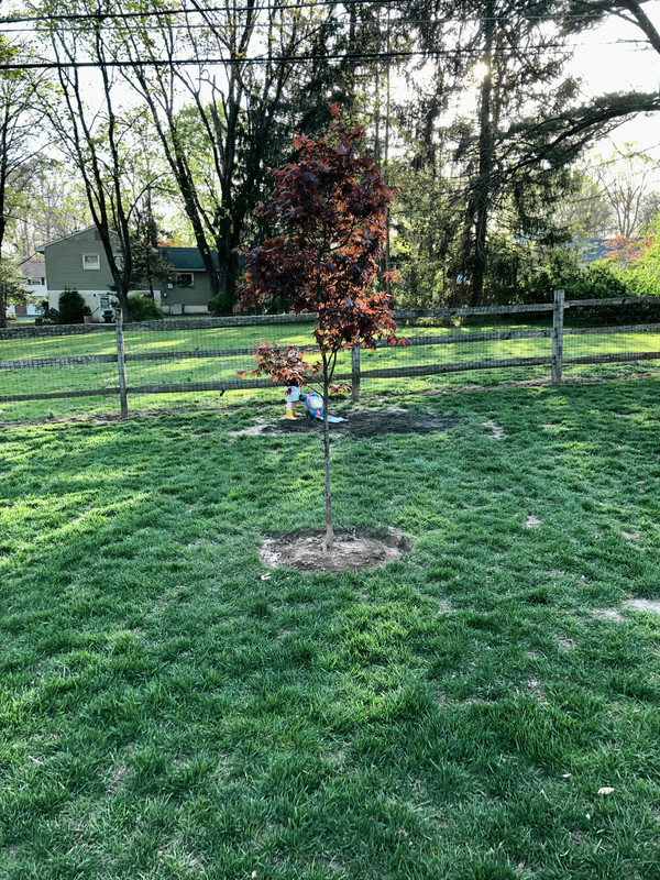 24601CB6-AABB-4287-8C32-D7D47FC6D9E3