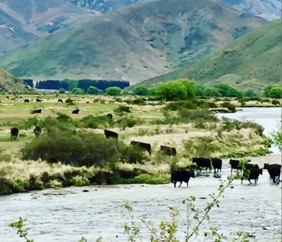 Screenshot 2020-11-18 at 3.28.06 PM