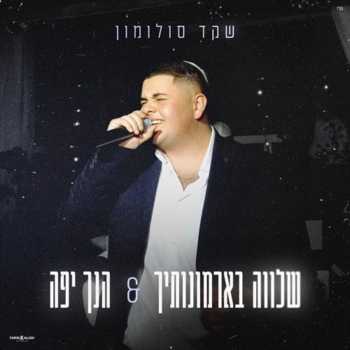 תמונה