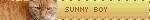5dd0288a-2992-4da2-a15e-ff6b7bde8e3e.gif