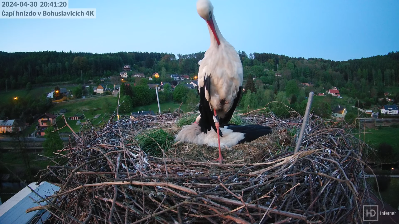 Živě z čapího komína firmy KARA v Bohuslavicích u Trutnova 12-11-30 screenshot