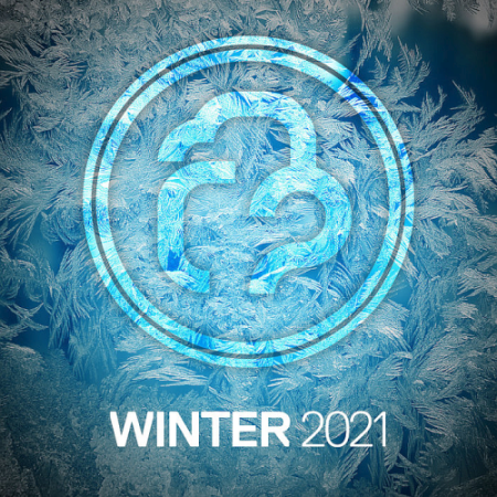 VA - Infrasonic Winter Selection (2021)