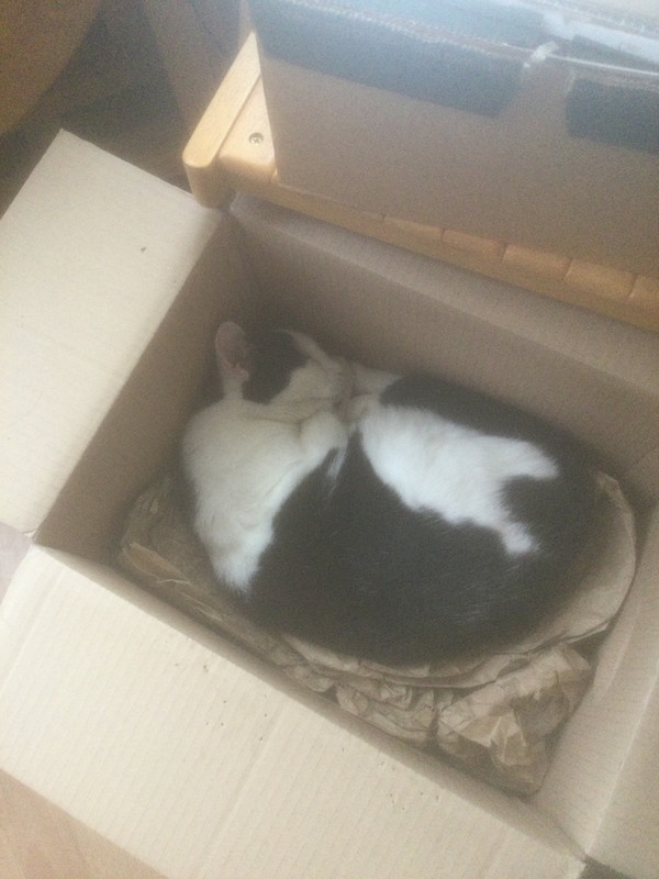 E2D59889-4105-4C4D-87A7-5D0207016154