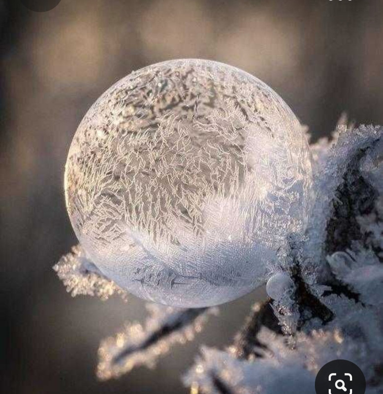 Screenshot_20231017_213059_Pinterest