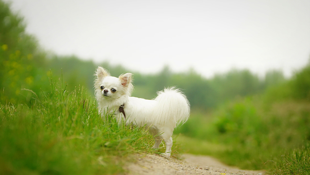 Lumii_20210605_151654121