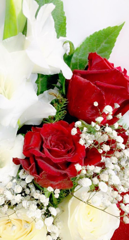 29AB274F-E4A0-45F7-A4F0-FF1C6A3C09BC