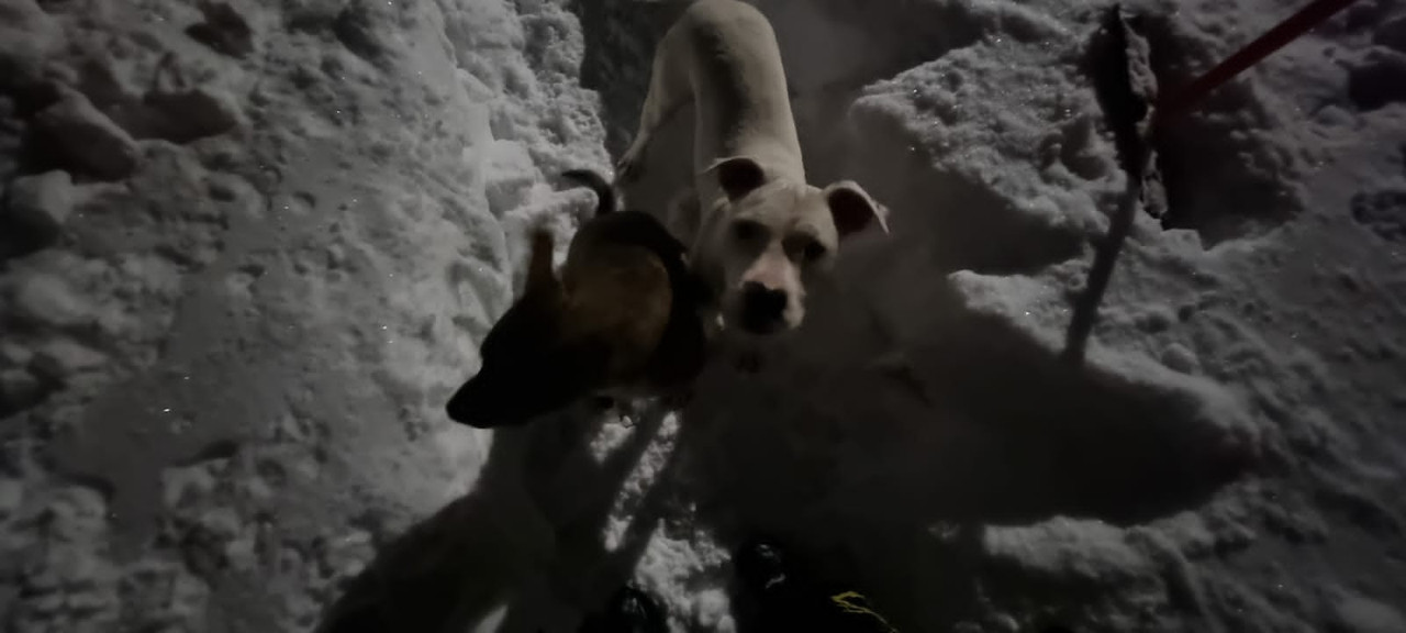 2486E9EC-9B8E-4995-90E7-400C272C4A9A