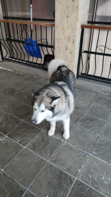 2C25CCBF-515F-48A6-8476-B543B1F8CF26