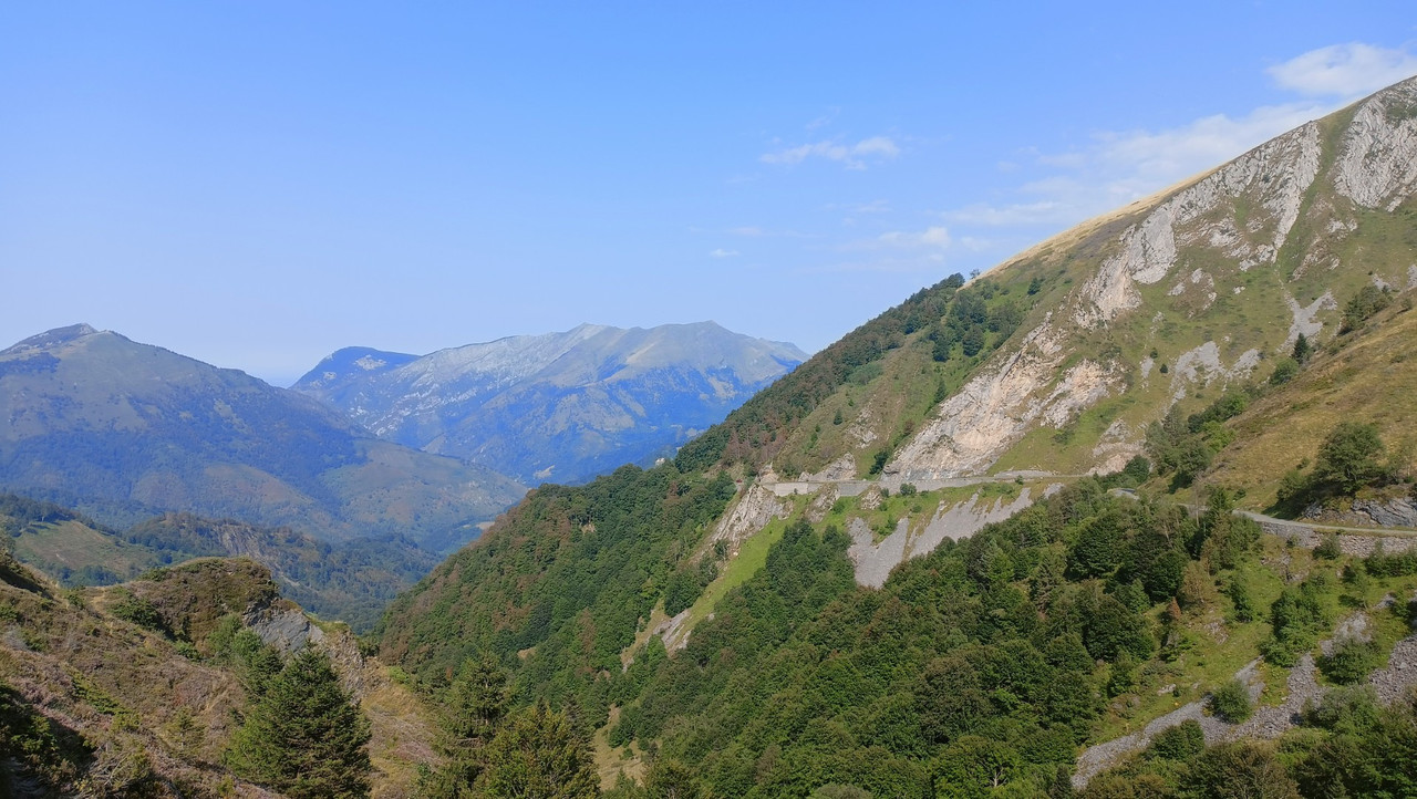 IMG20250824165256 (Large)