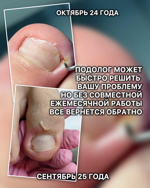 подология новая 3