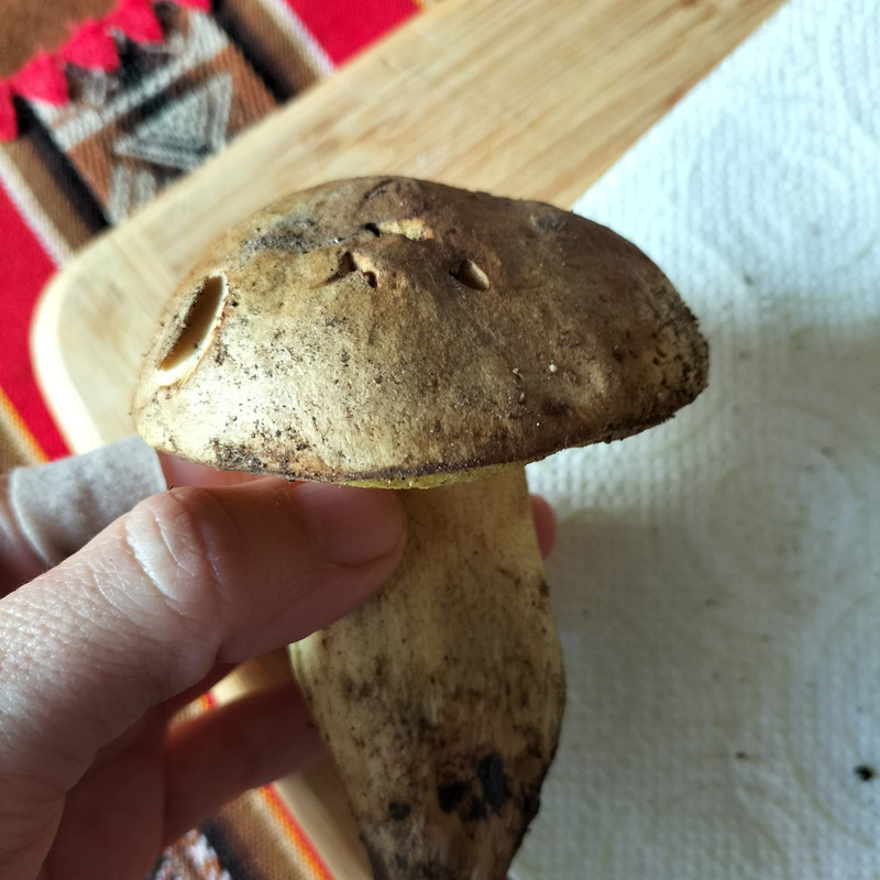 WhatsApp Image 2022-11-27 at 11.59.06(2)