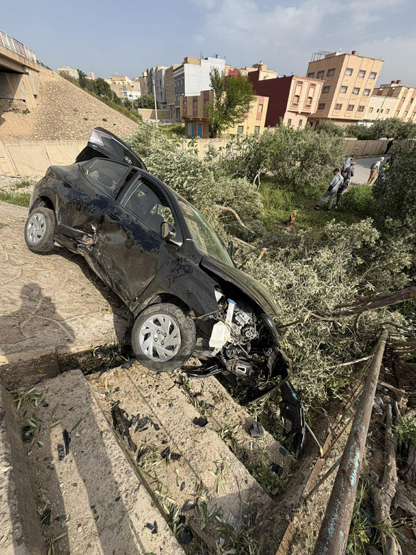 666621153-955823277383201-8506728719291265131-n