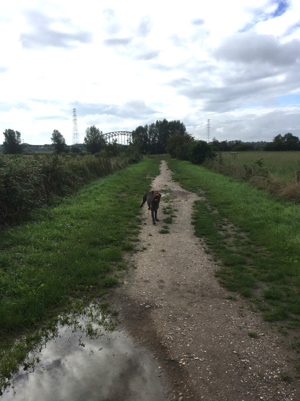 2023-04-08 Naar de Rijn hierrr IMG_2529 (002)