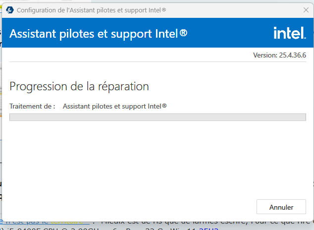 Capture d écran réparer Intel Assistant 2026 01 27 150043