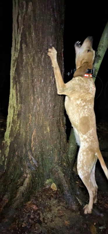 Resized_IMG_3901 (1)