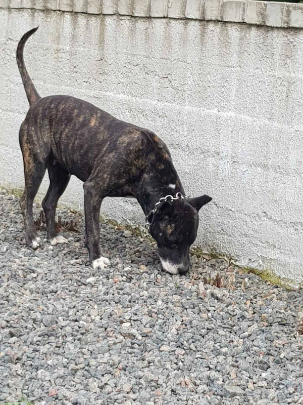 FA57C69F-2285-4DAB-9DB0-B56FD77EBD4E