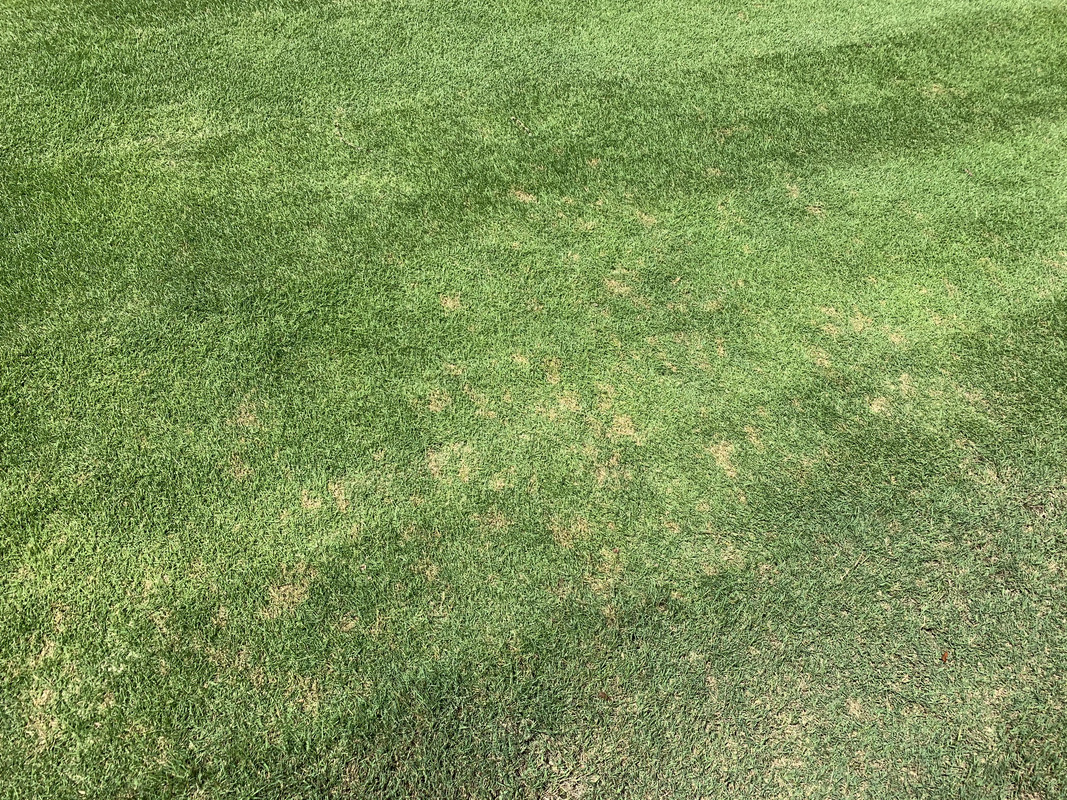 16AFFEE8-D490-4B11-AC3C-9DE4DBA9688F