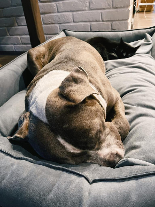 B4424980-7677-46D6-BA80-EC81884C154A