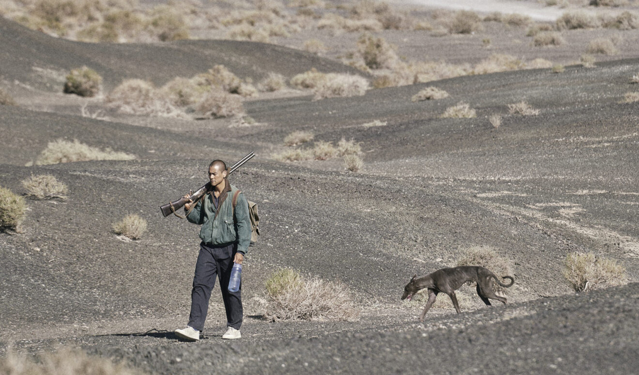 Black_Dog_2_1320x776