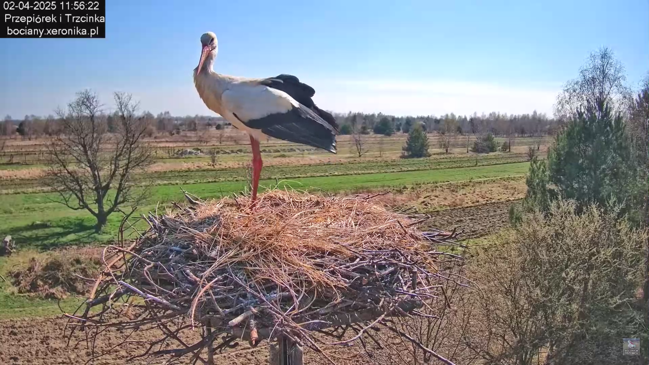 02042025krotkawizytabocka_21