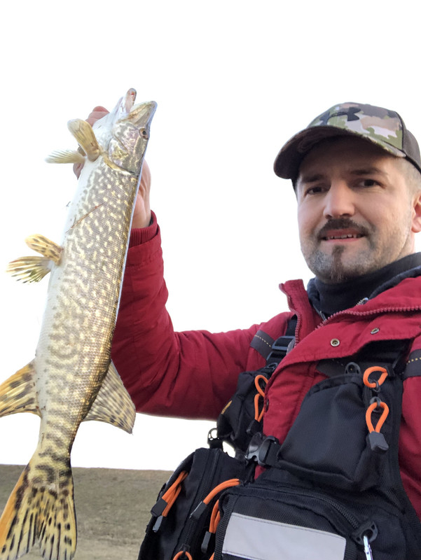 43E24DCF-4D8E-4172-AF98-6931BEAFBCC6