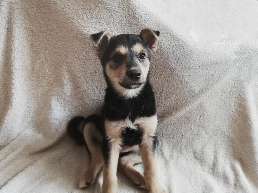 E2CDA777-9574-4B65-B606-FA07C3C7E2B9