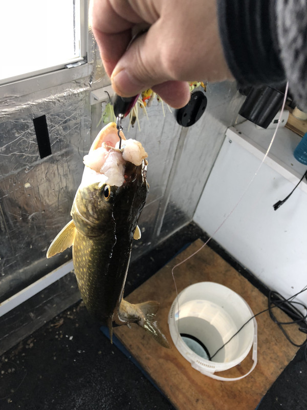 825076DB-0F22-4C97-AD7D-E6A117421F2C