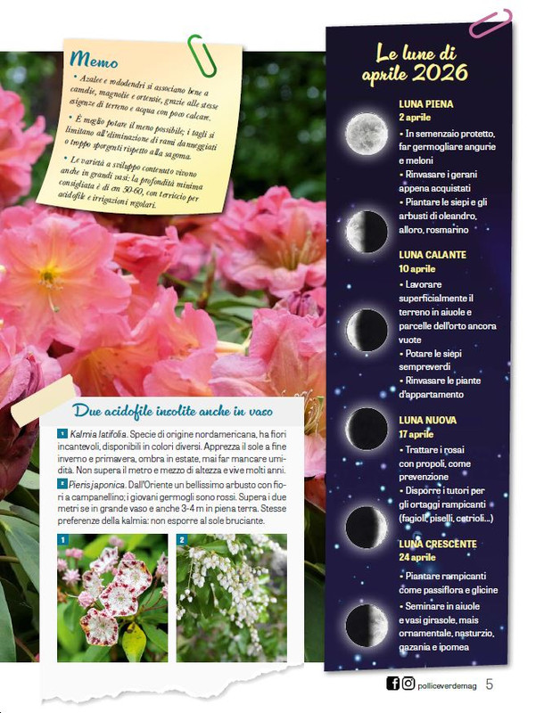 Pol Ver Apr 2026 (2)