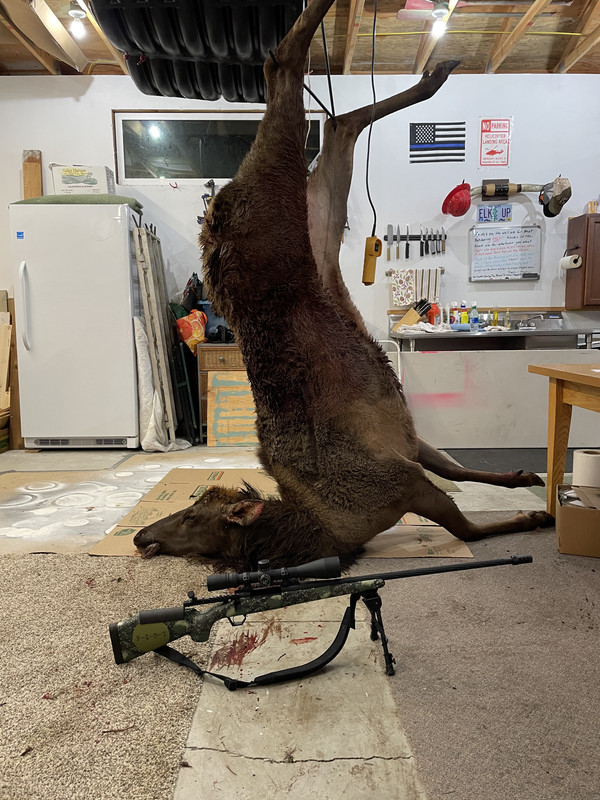 49EC33D2-9836-4936-9867-88806983083E