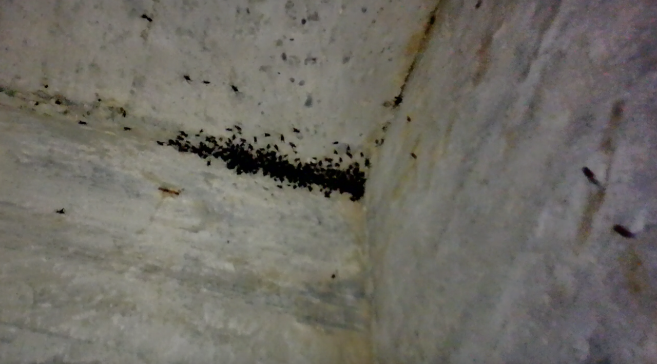 Screen Shot 2024-10-30 at 1.26.06 PM