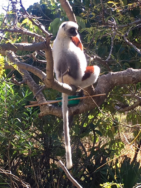 18739839-10154485547850703-7107545912934