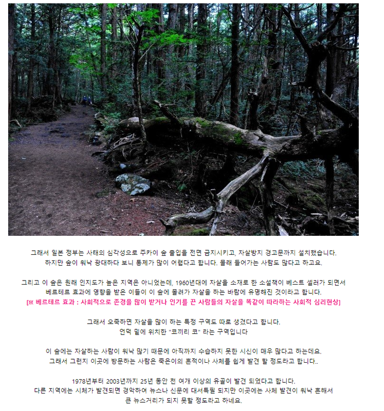 캡처_2023_02_23_10_09_52_87