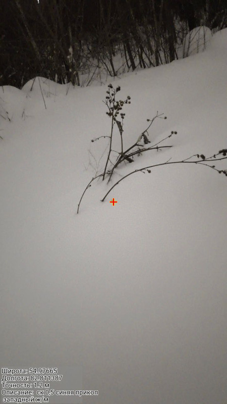 photo 15 2025 12 27 22 02 52