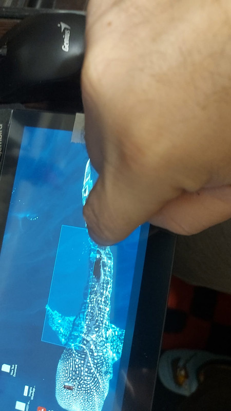 Whats App Image 2025 12 08 at 20 12 56 bfa1c7bd