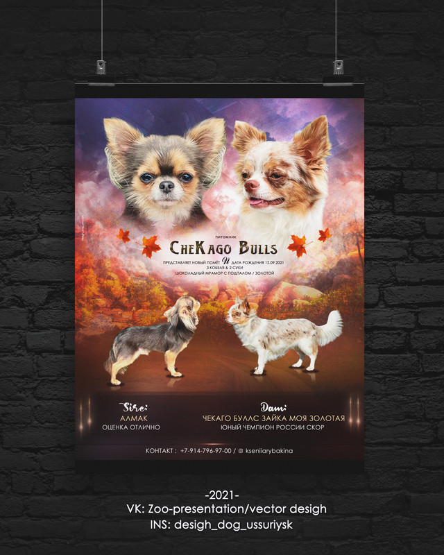 Poster-Dark-by-Don-чихи