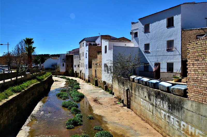 CADIZ Y SUS PUEBLOS-2017 - Blogs of Spain - ALCALA DEL VALLE-7-3-2017-CADIZ (8)