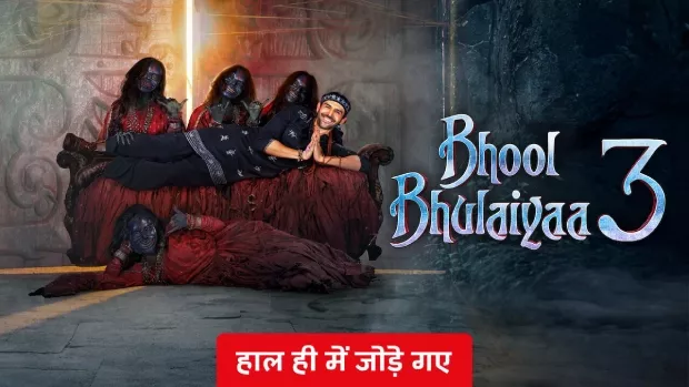 Bhool Bhulaiyaa 3 (2024)