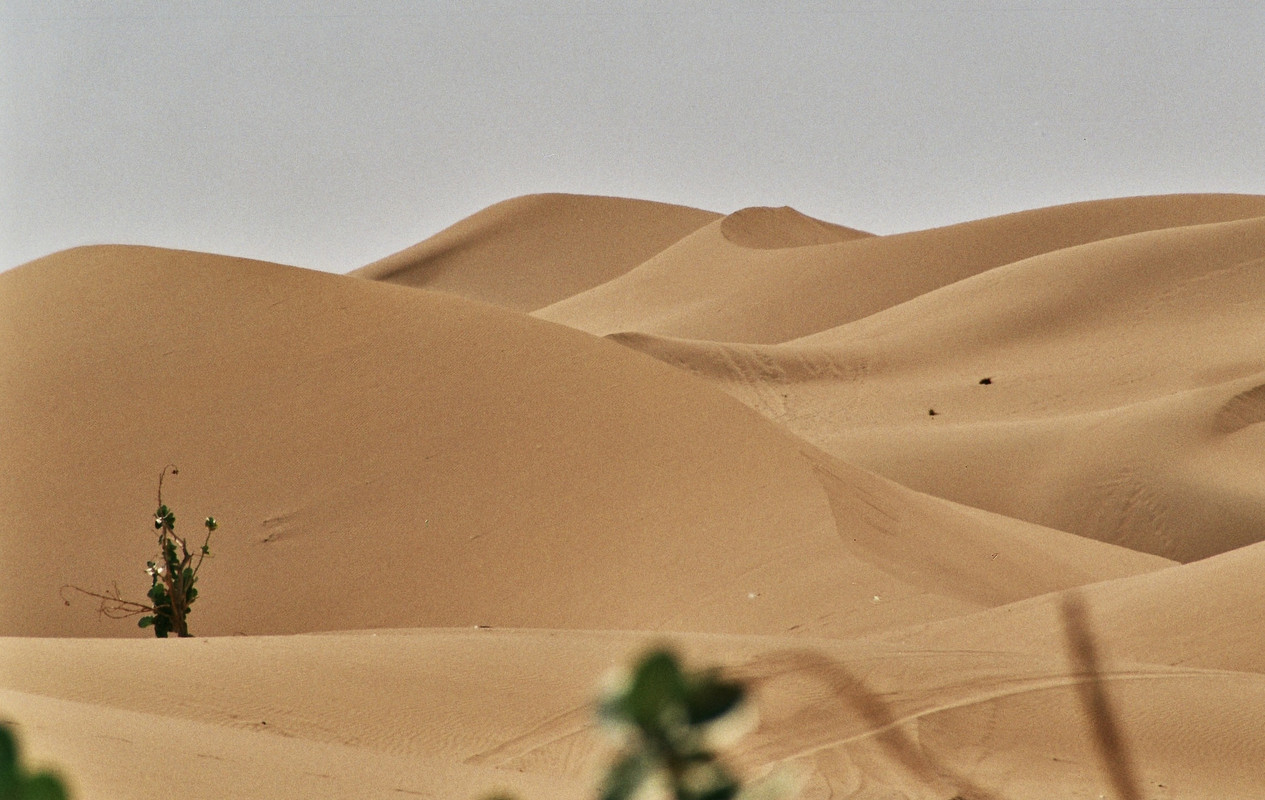 El Erg de Chegaga y el Lago Iriki - El Valle del Drâa, la gran arteria del sur de Marruecos (21)