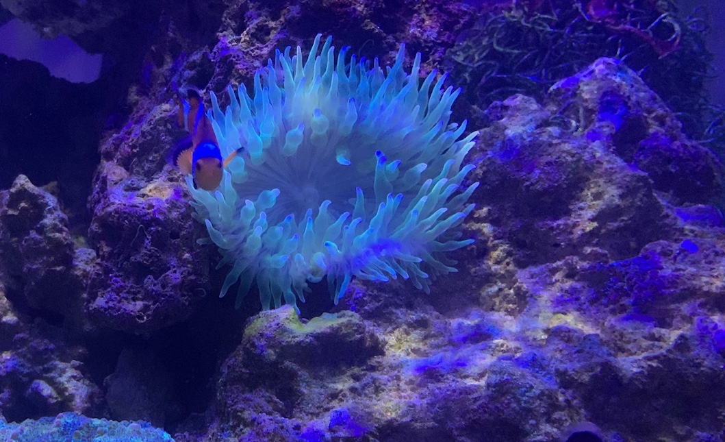 231EF2EF-B8F0-4F42-B24A-05D1796F9181