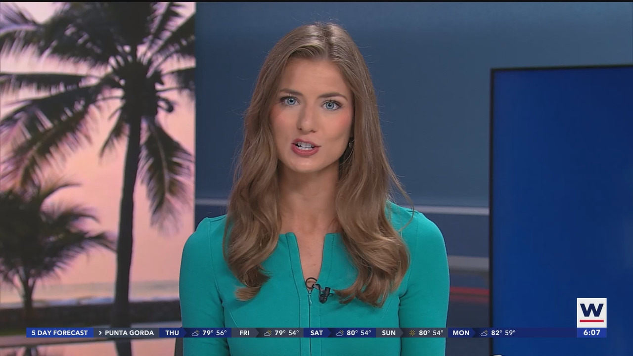 WINK News at 600am_20250227_11001130.ts_snapshot_08.40.217