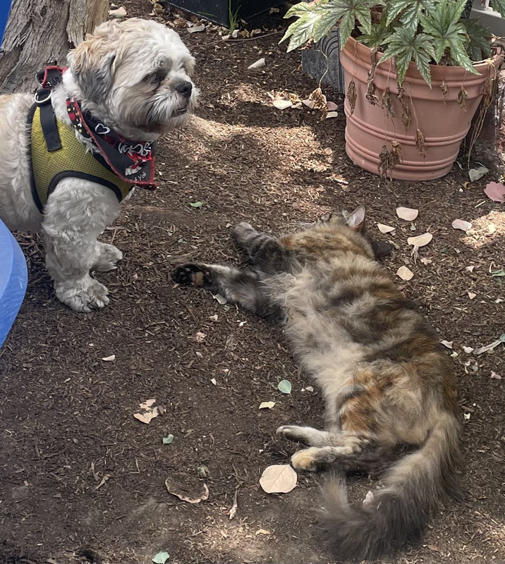 3B6AF52E-8301-49AE-A216-A3854C36FEAA_1_201_a