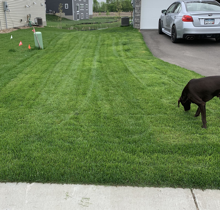 9E27558A-9B67-4F68-BB84-412EDF5BCABA