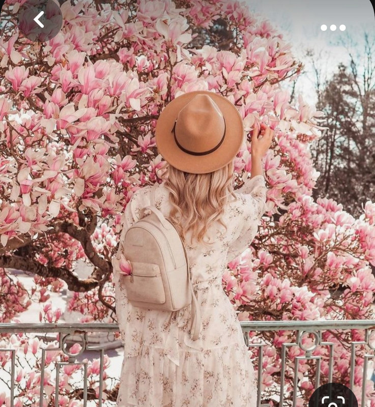 Screenshot_20231007_231014_Pinterest