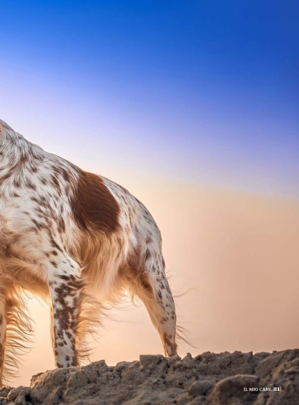 Il M C Mag 2022 (12)