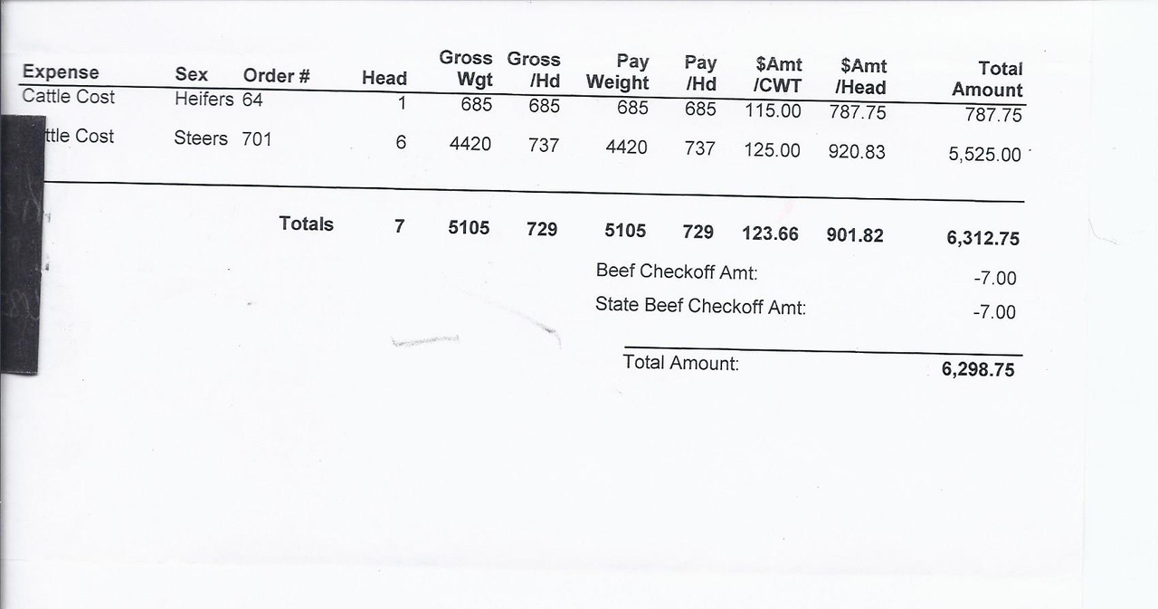 ec 2019 sale calves