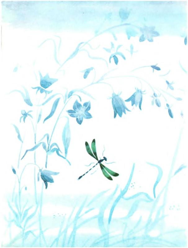 p0002