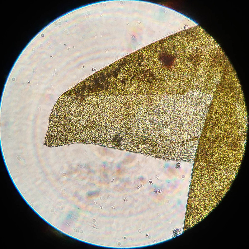 IMG 20250616 215904 HDR