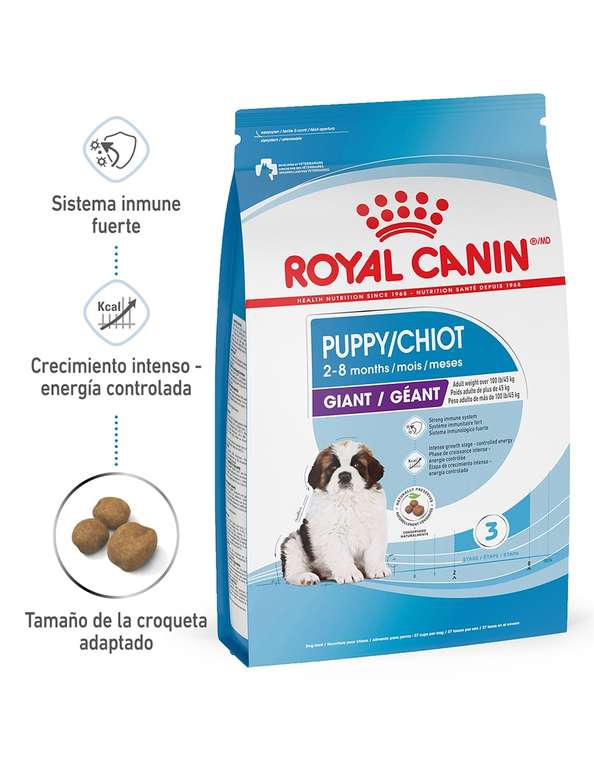 Liverpool: Alimento del Fino para el perrhijo: Croquetas Royal Canin Puppy Razas Gigantes