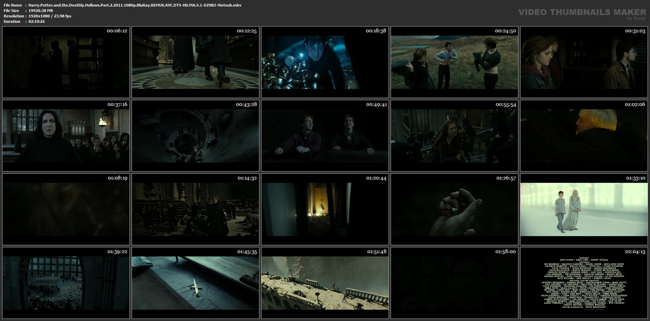 Harry.Potter.and.the.Deathly.Hallows.Part.2.2011.1080p.BluRay.REMUX.AVC.DTS-HD.MA.5.1-DZ0N3-Vietsub.